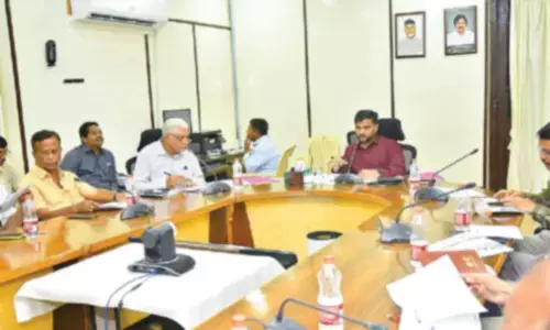 Robust industrial base key to economic development: Collector