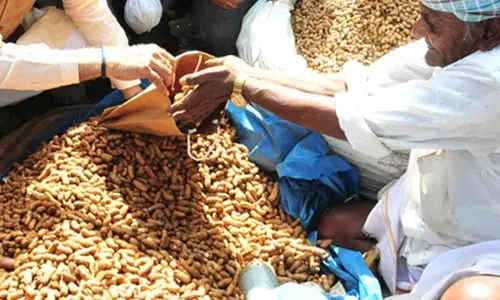 K’taka: Urea, fertiliser prices rise after surge in demand, farming community in distress