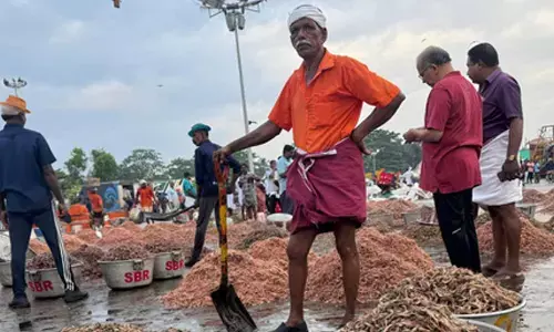 Indian seafood exporters set to seize larger share of UK market, go global: Govt