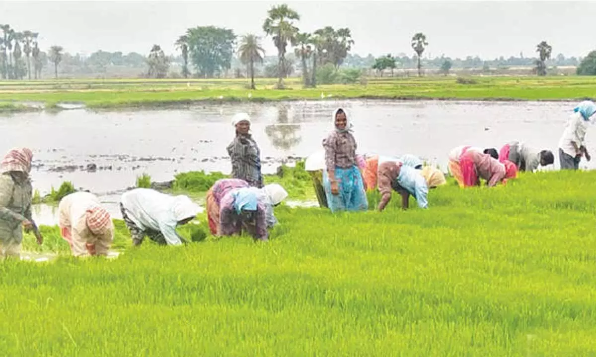 Floodwater entering tanks and ponds enthuses farmers