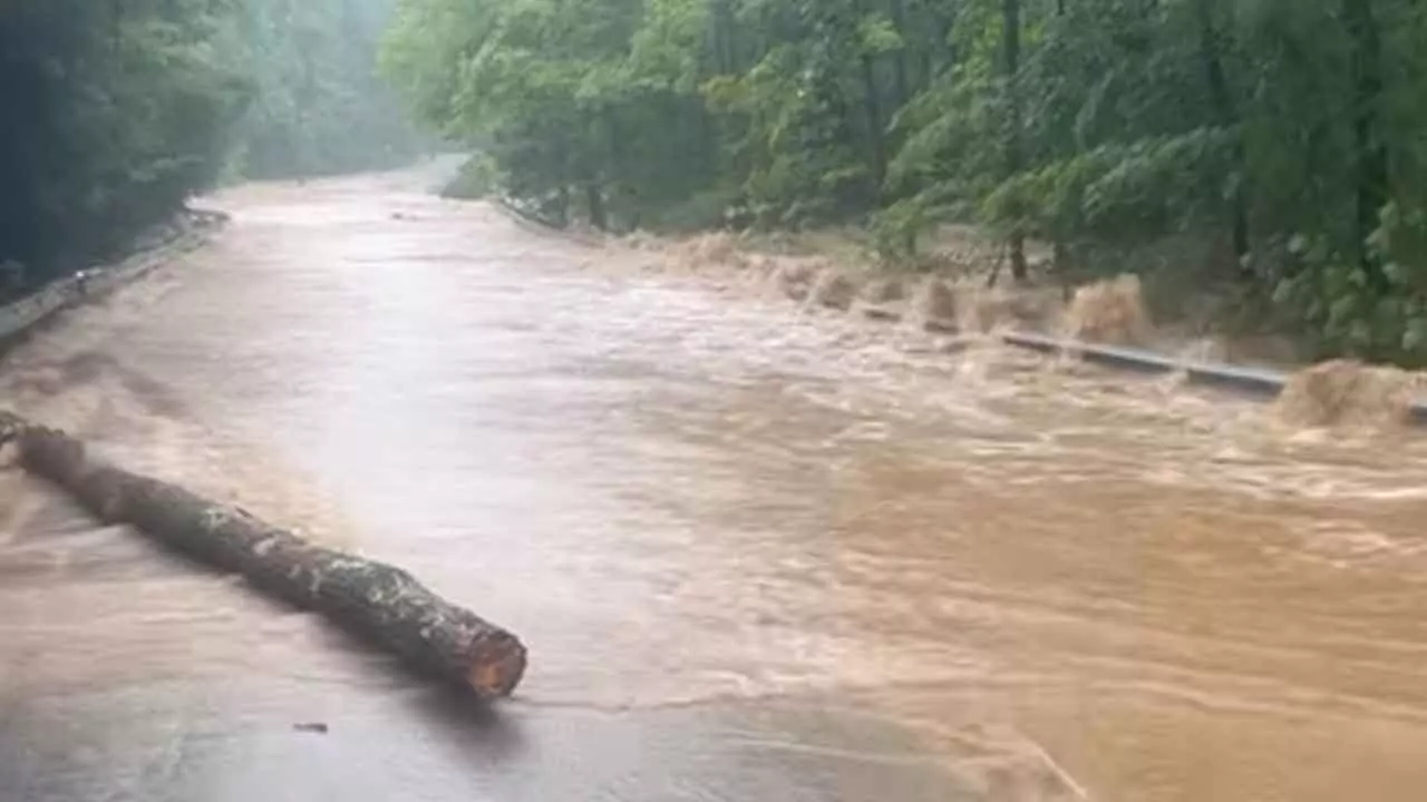 Record 2025 flash floods signal rising climate risk in US Record 2025 flash floods signal rising climate risk in US