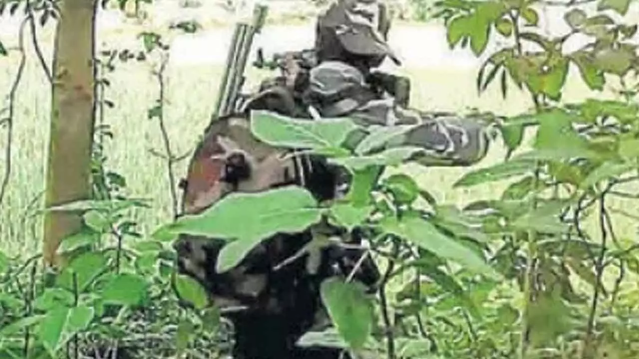 Chhattisgarh: 4 Maoists killed in Bijapur encounter; security forces recover arms and ammunition Chhattisgarh: 4 Maoists killed in Bijapur encounter; security forces recover arms and ammunition
