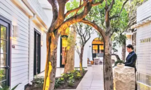 California’s Culinary scene reaches new heights with 2025 MICHELIN guide selection