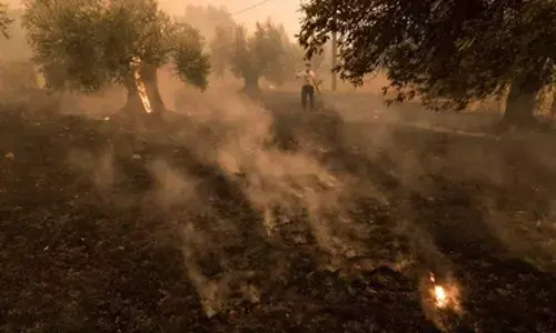 Greece requests EU assistance as wildfires rage across country