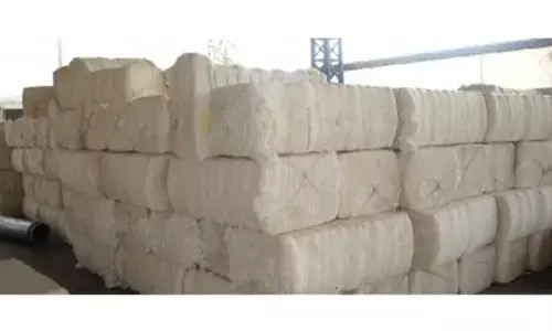 Misleading: APEDA rejects allegations on organic cotton certification