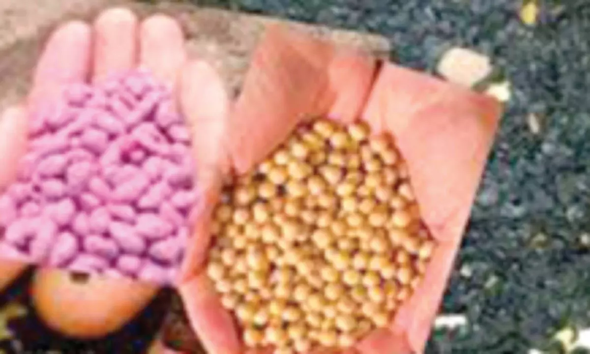 Fake seeds: BJP urges Karnataka govt to file criminal case