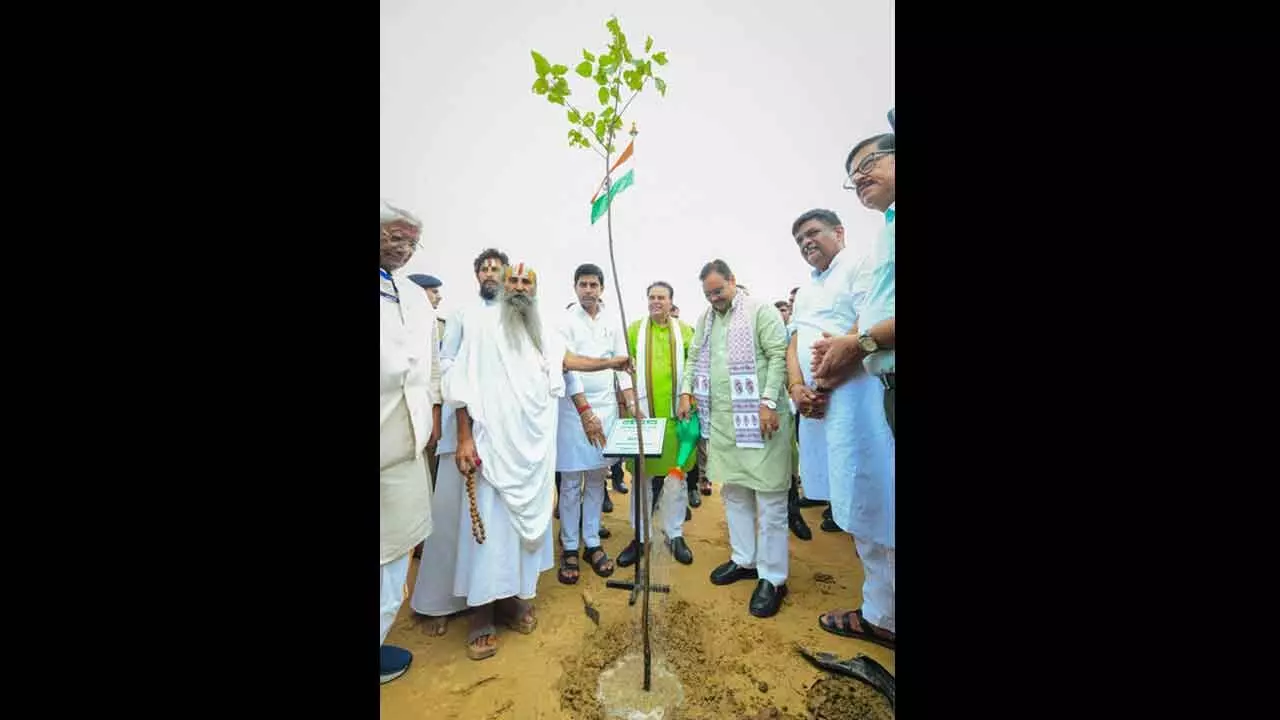 Mission Hariyalo Rajasthan: Jaipur sets record in tree plantation on Hariyali Teej
