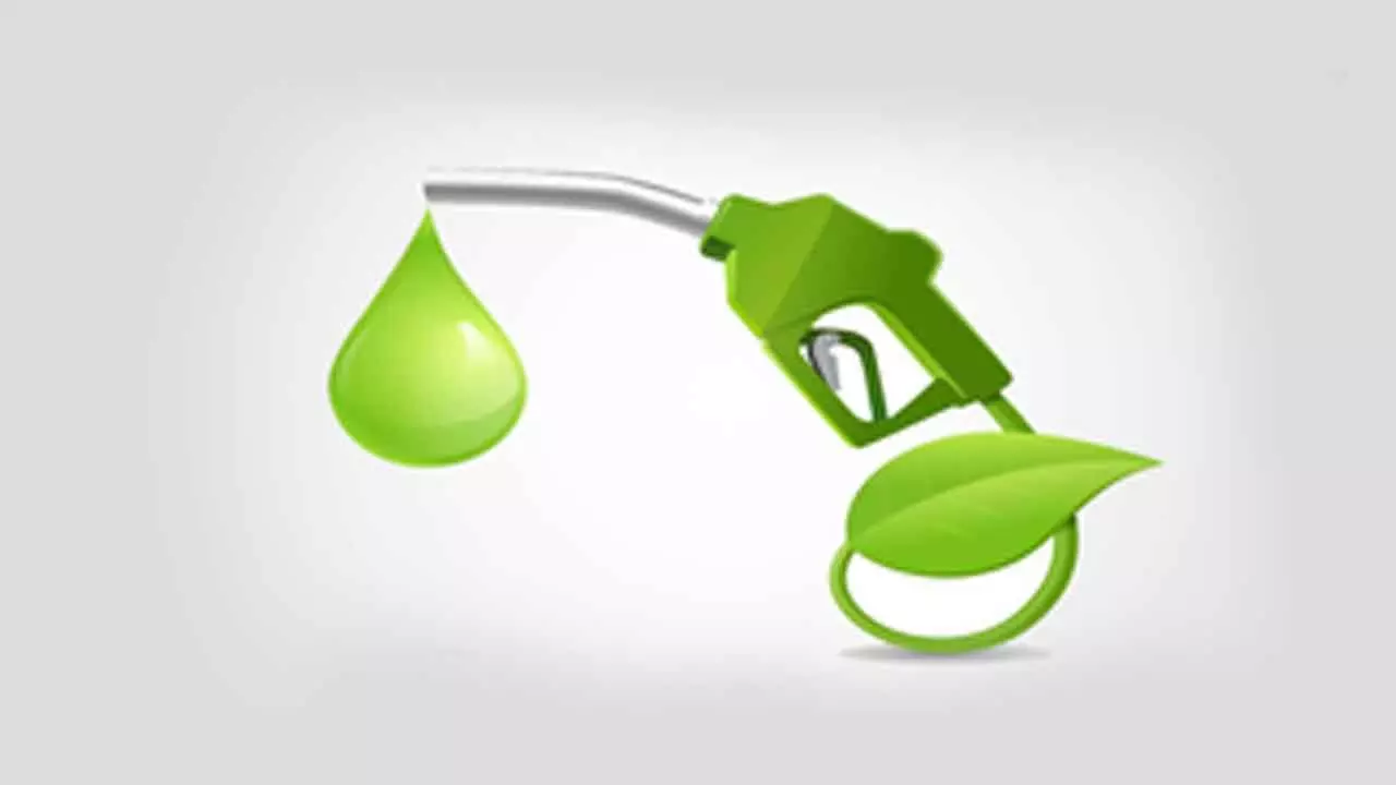 Supply of ethanol-blended petrol jumps more than 4-fold in four years Supply of ethanol-blended petrol jumps more than 4-fold in four years