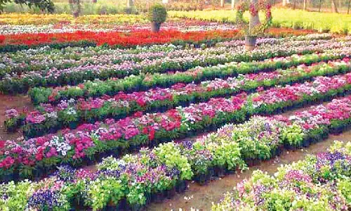 Eco-tourism experience centre to be established