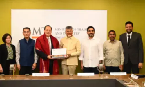 AP–Singapore Discuss Cooperation in Green Energy and Data Centre Development