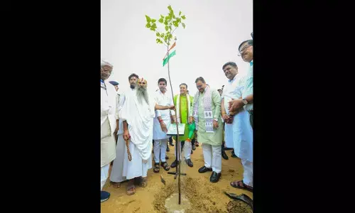 Mission Hariyalo Rajasthan: Jaipur sets record in tree plantation on Hariyali Teej