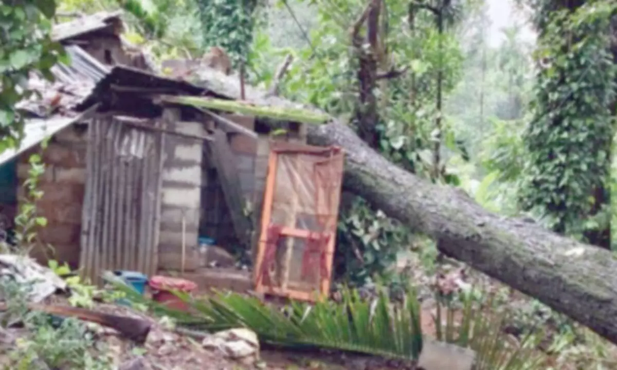 Storms leave trail of destruction in Sullia and Kadaba taluks
