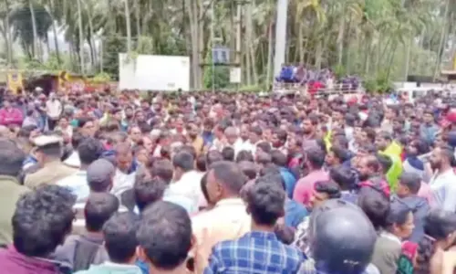 Wild elephant menace claims second life in four days