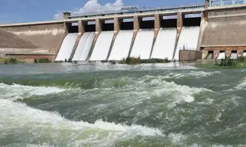 TN farmers seek early water release as Periyar, Vaigai dams near full capacity