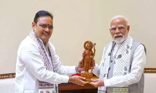 Rajasthan CM meets PM Modi, discusses states development