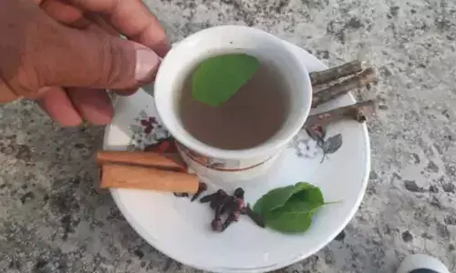 Boost Immunity Naturally: How to Make Ayurvedic Tulsi Kadha at Home This Monsoon