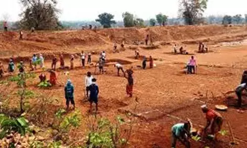 MGNREGA Revolutionises Rural Landscape in Uttar Pradesh