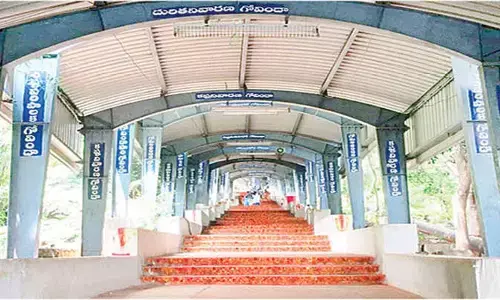 Devotee movement curtailed at Srivari Mettu after elephant sighting