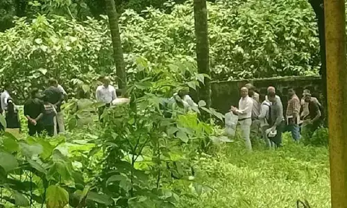 Lawyers seek arrest of panchayat vice-president