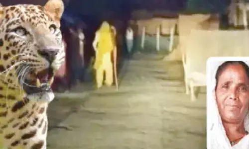Leopard kills girl in Bahraich