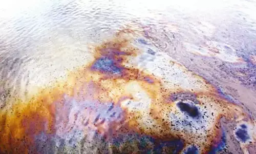 NIT Rourkela develops eco-friendly biofilm to mitigate impact of industrial oil spills, chemical waste