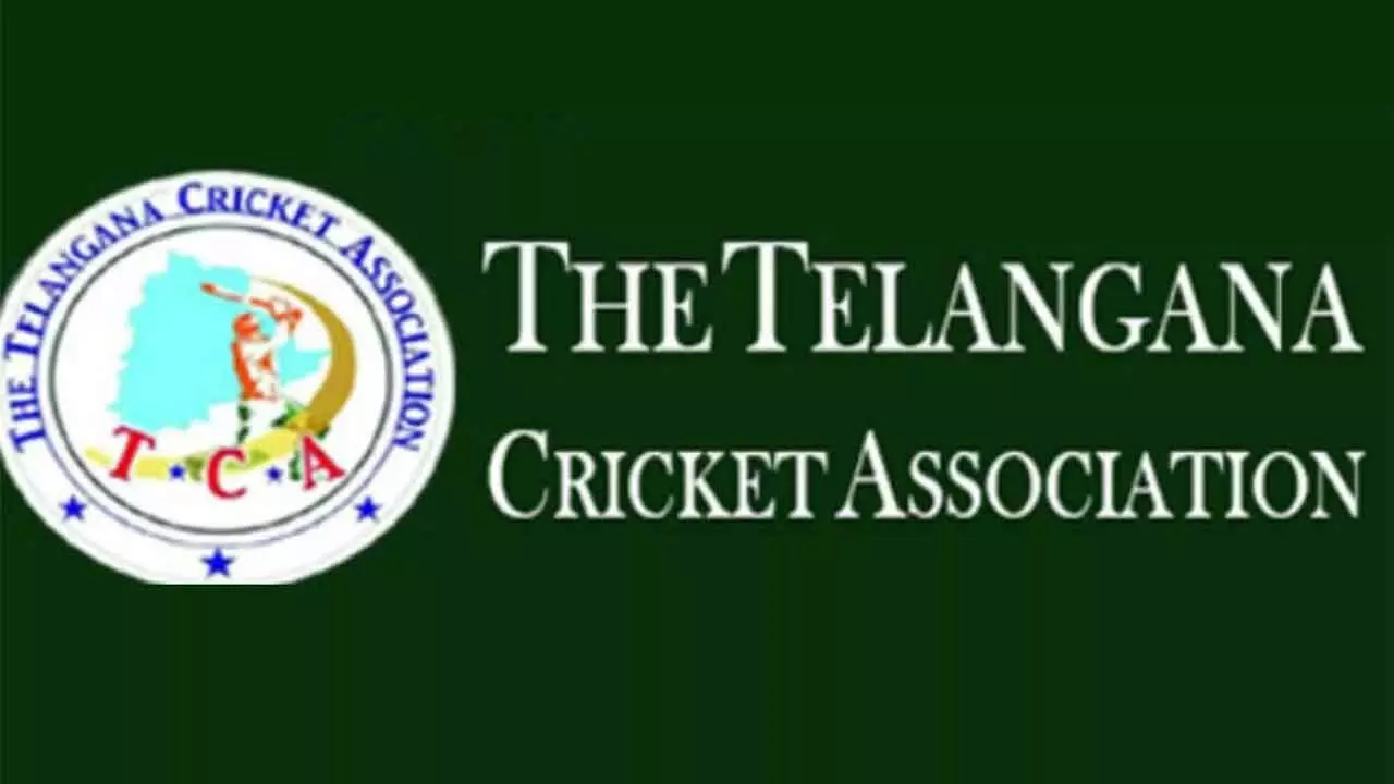 TCA brands entire HCA Council members ‘fraudsters’ amidst audit scandal TCA brands entire HCA Council members ‘fraudsters’ amidst audit scandal