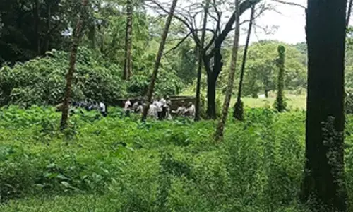 Mass burial case: Govt doesnt have agenda to protect or trap anyone, says G Parameshwara