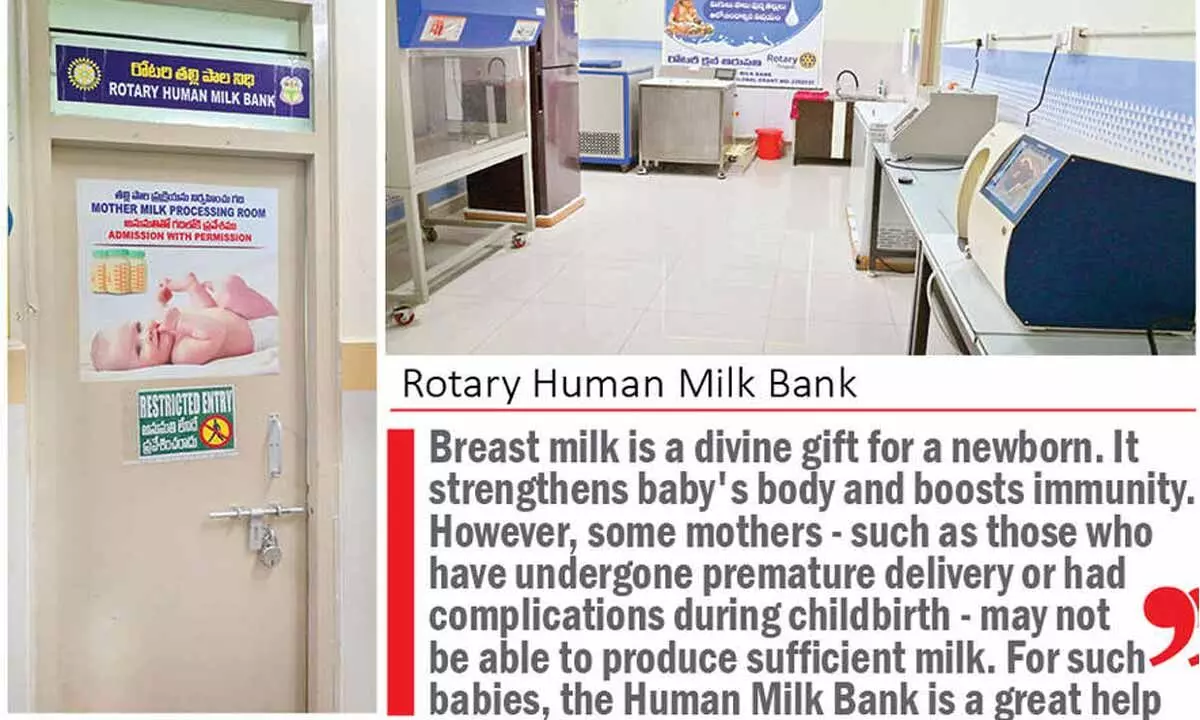 Human milk bank offering lifeline to fragile newborns Human milk bank offering lifeline to fragile newborns