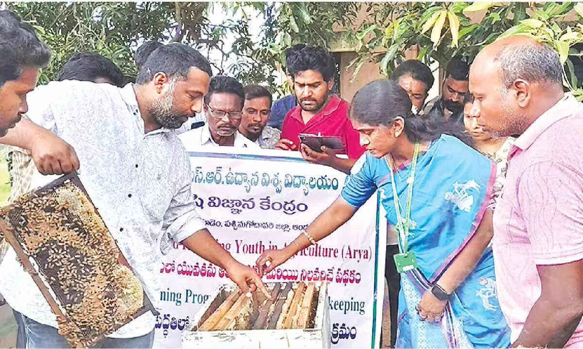 Scientific beekeeping training concludes Scientific beekeeping training concludes