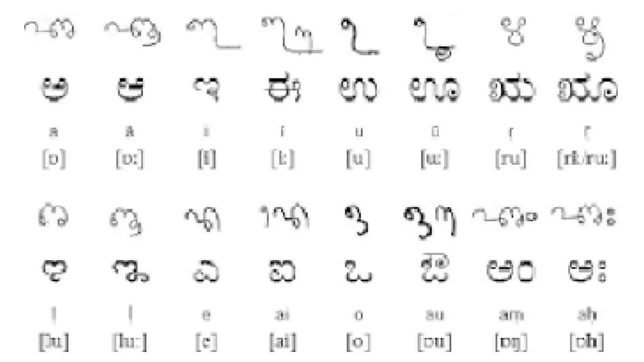 Study panel to examine Andhra model for official language status to Tulu