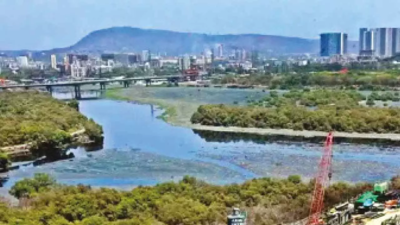 Mithi river desilting case: ED conducts fresh searches in Mumbai Mithi river desilting case: ED conducts fresh searches in Mumbai