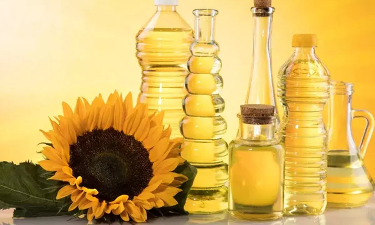 Is Sunflower Oil Truly Healthy? 5 Cooking Oils You Should Think Twice Before Using Is Sunflower Oil Truly Healthy? 5 Cooking Oils You Should Think Twice Before Using