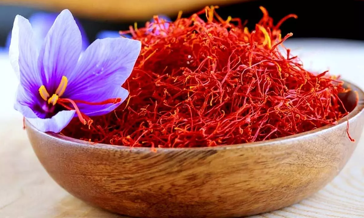 Homegrown Luxury: How to Grow Saffron and Use It in Everyday Cooking Homegrown Luxury: How to Grow Saffron and Use It in Everyday Cooking