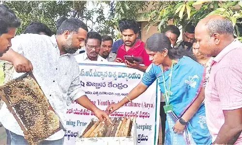 Scientific beekeeping training concludes