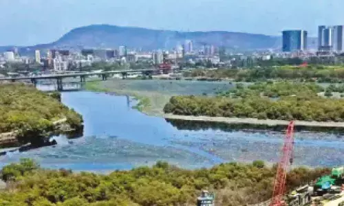 Mithi river desilting case: ED conducts fresh searches in Mumbai