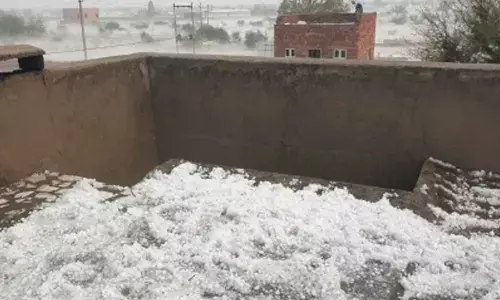 Heavy rains wreak havoc in Rajasthan; mini-truck swept away