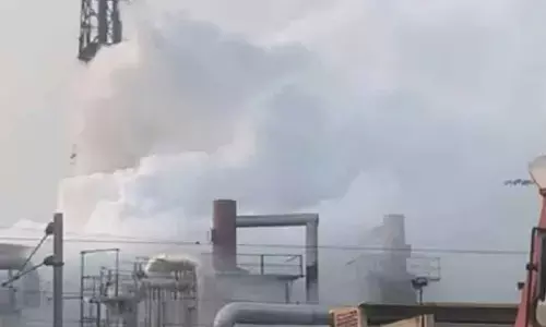 25 workers affected after gas leak at seafood plant