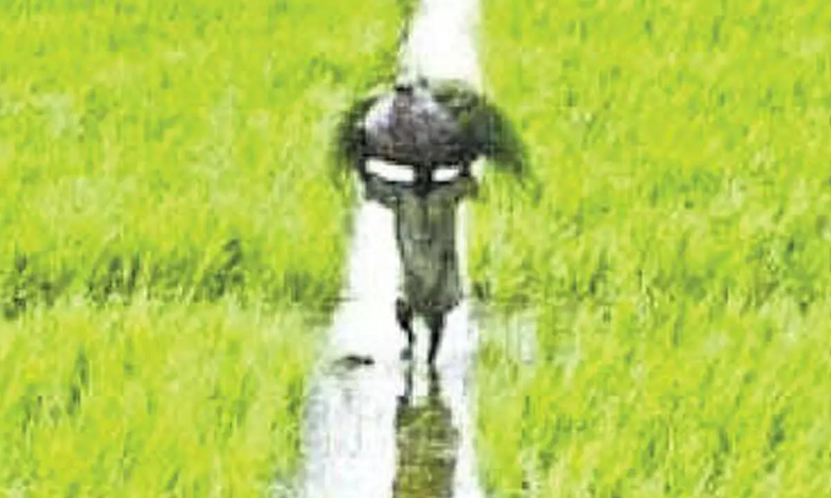 NAPA demands Punjab govt to withdraw land pooling scheme NAPA demands Punjab govt to withdraw land pooling scheme