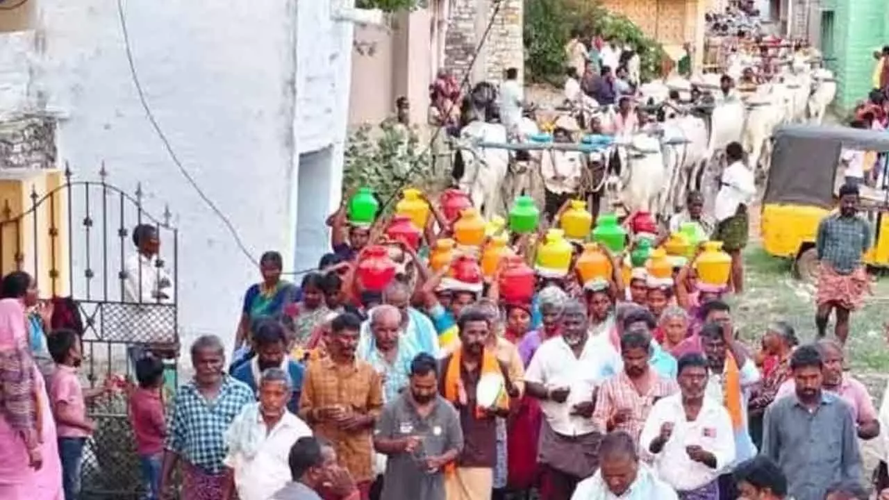 With 101 Bullocks and Pots of Krishna Water, Jallapuram Villagers Pray for Rain in Unique Ritual With 101 Bullocks and Pots of Krishna Water, Jallapuram Villagers Pray for Rain in Unique Ritual