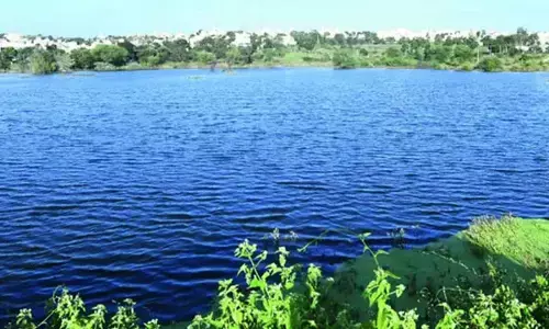 Karnataka Proposes First-of-its-Kind Scientific Buffer Zone Reforms Based on Waterbody Size
