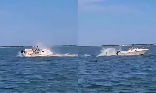 Whale dies after collision with small boat off New Jersey shore