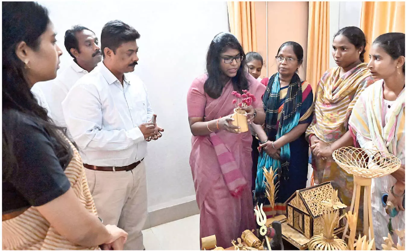 Training for tribal women to help earn livelihood