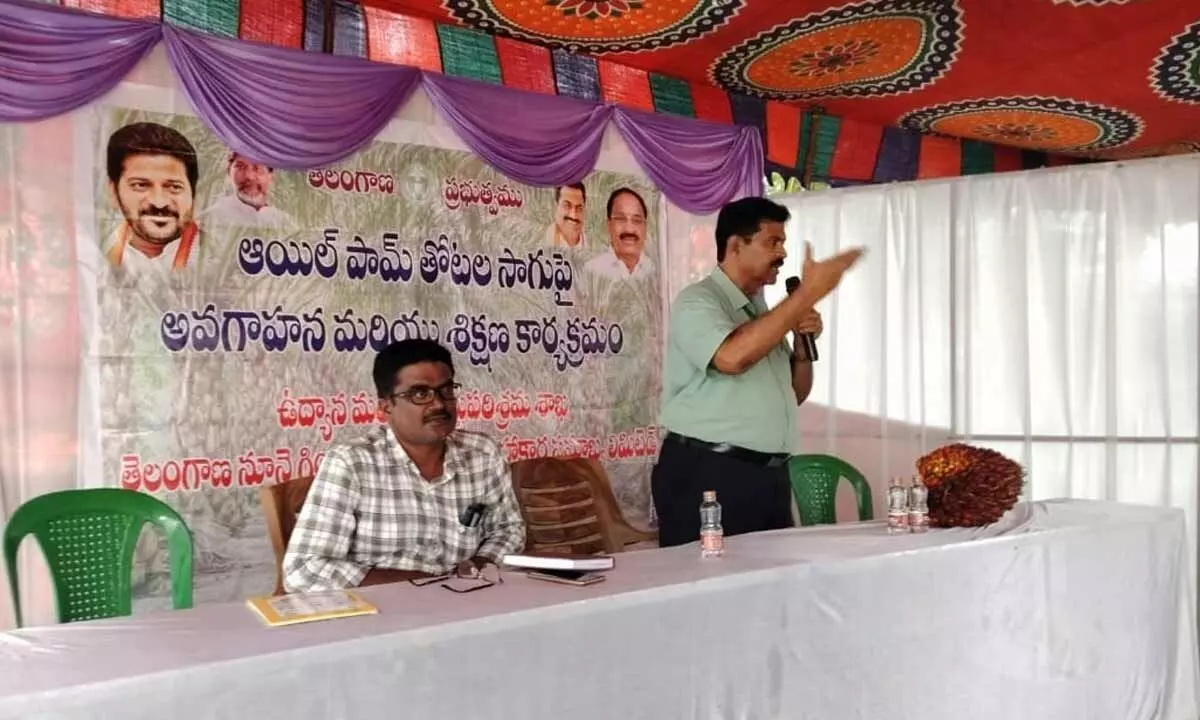 Oil Palm Cultivation Promises Golden Future: Awareness Program Held in Beechupally Oil Palm Cultivation Promises Golden Future: Awareness Program Held in Beechupally