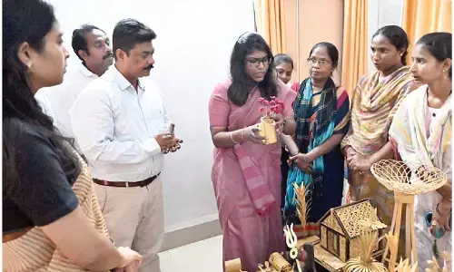 Training for tribal women to help earn livelihood