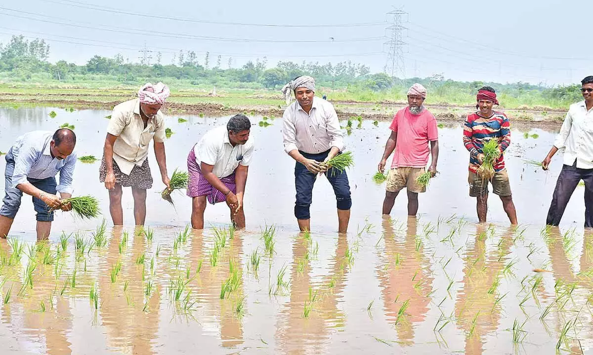 Farmers advised to explore horticulture Farmers advised to explore horticulture