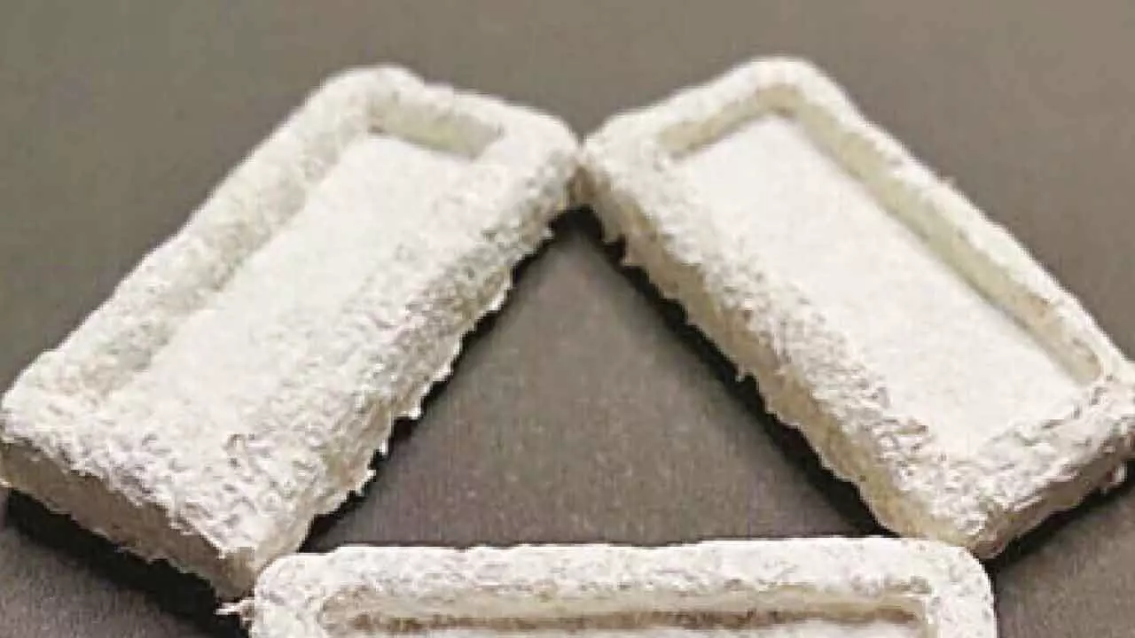 IIT Madras develops new agri-waste-based packaging material to help reduce plastic use