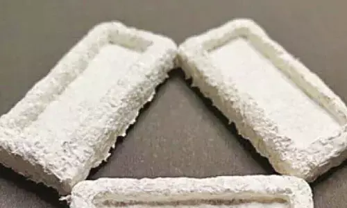 IIT Madras develops new agri-waste-based packaging material to help reduce plastic use