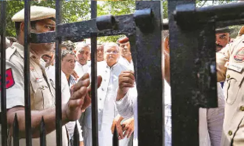 Maliks political journey: From loyalist to controversial critic