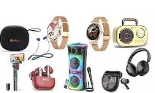 Rakshabandhan 2025: Fun, Functional and On-Trend Premium Tech Gifts