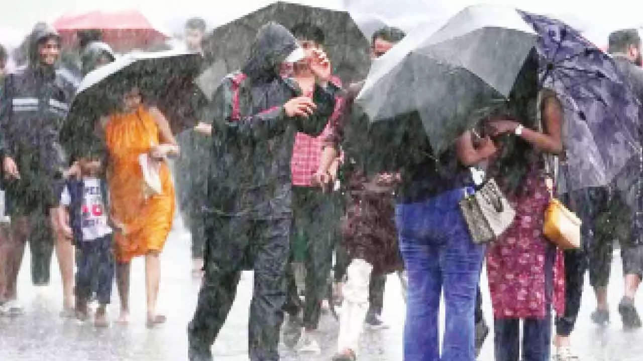 Rain in parts of Punjab, Haryana Rain in parts of Punjab, Haryana